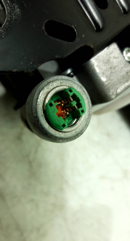 Cinto fte dto pre tensor (20195173).