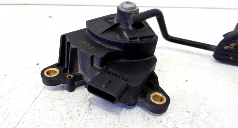 Pedal Acelerador (20195248).