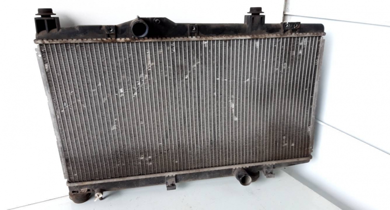 Radiador agua (20197370).