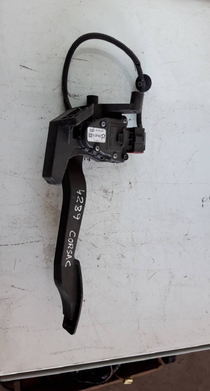 Pedal Acelerador (20199738).