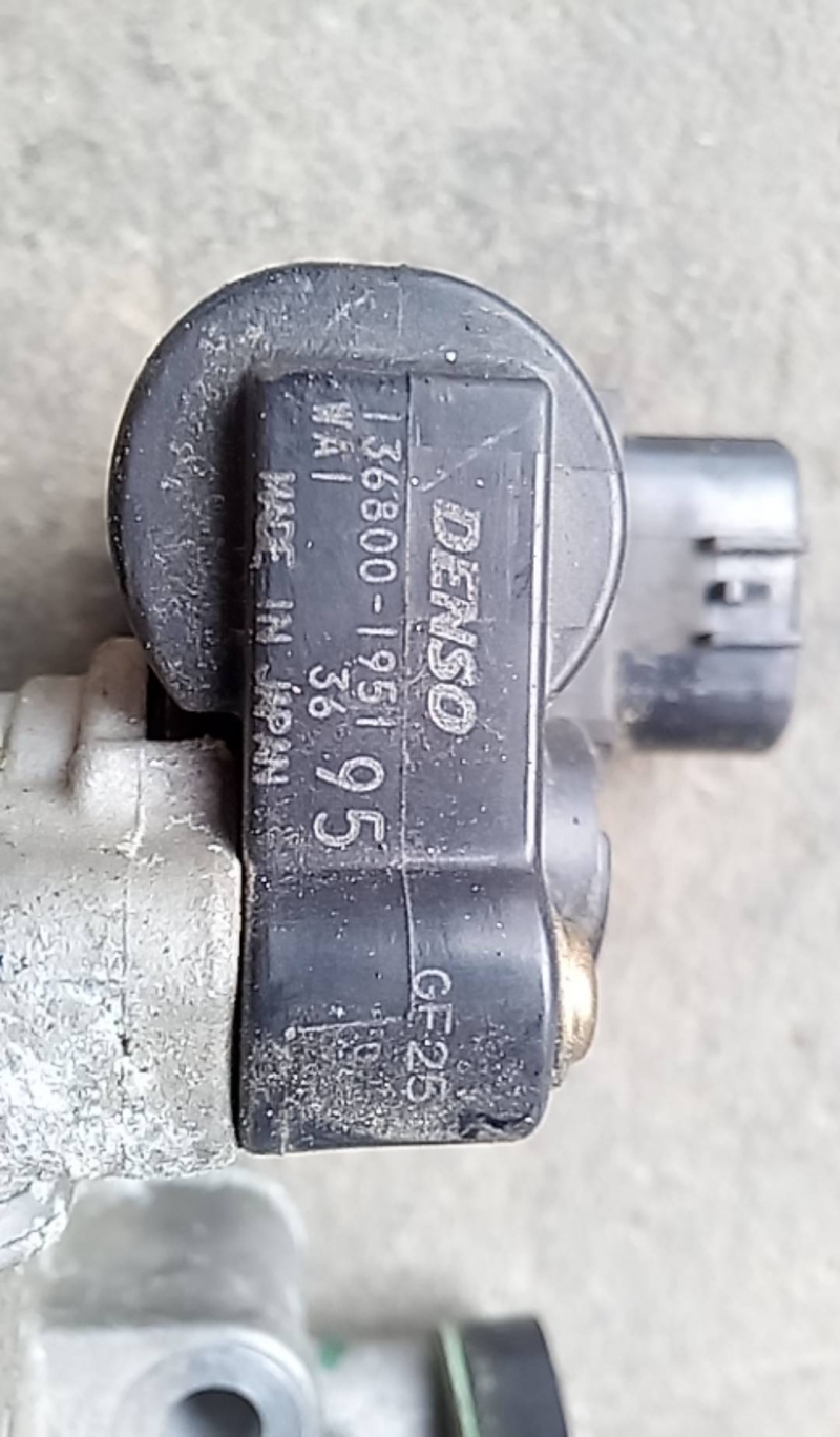 Corpo de Borboletas (20203145).