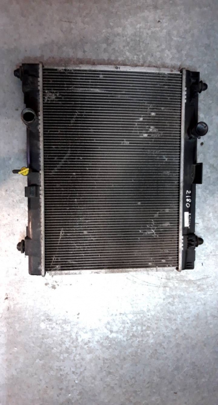 Radiador agua (20203602).