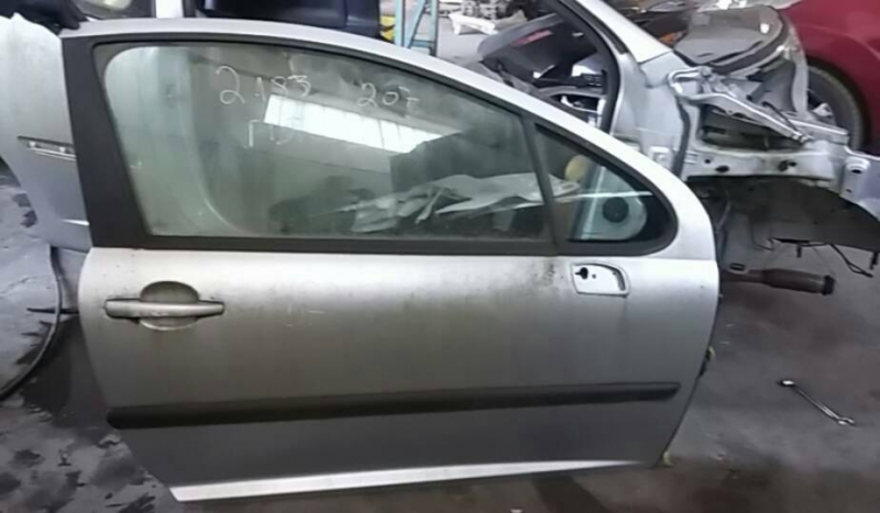 Porta frente direita (20204063).