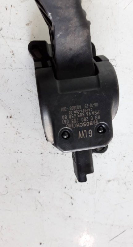 Pedal Acelerador (20206242).