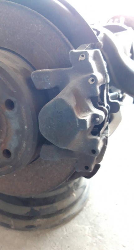 Pinça tras esquerda (20206552).