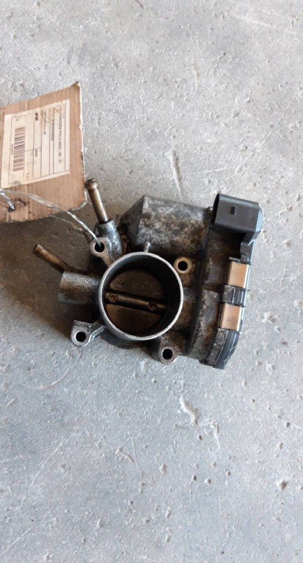 Corpo de Borboletas (20206645).