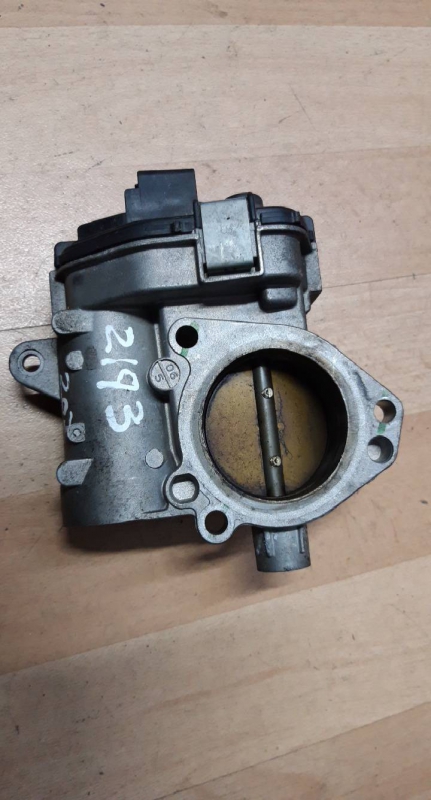 Corpo de Borboletas (20207746).