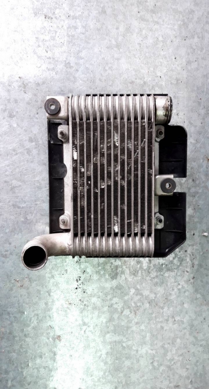 Intercooler (20208325).