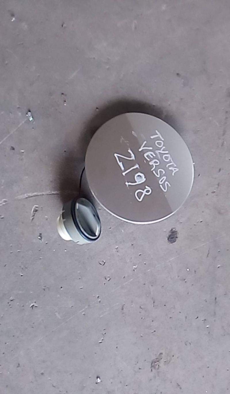 Porta de combustivel (20208917).