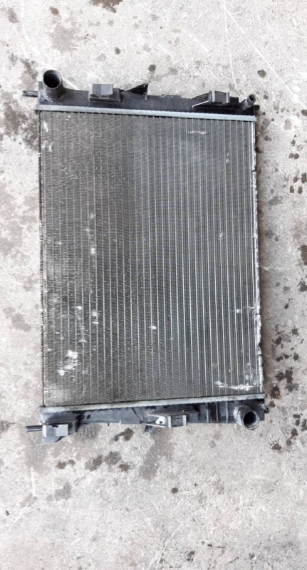 Radiador agua (20209530).