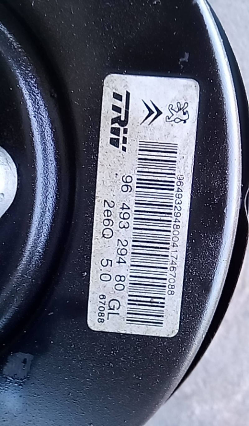 Servofreio (20210749).