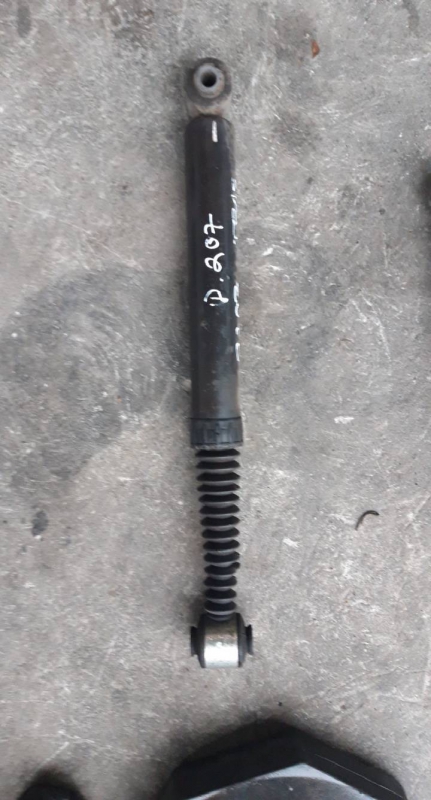 Amortecedor tras dto (20211301).