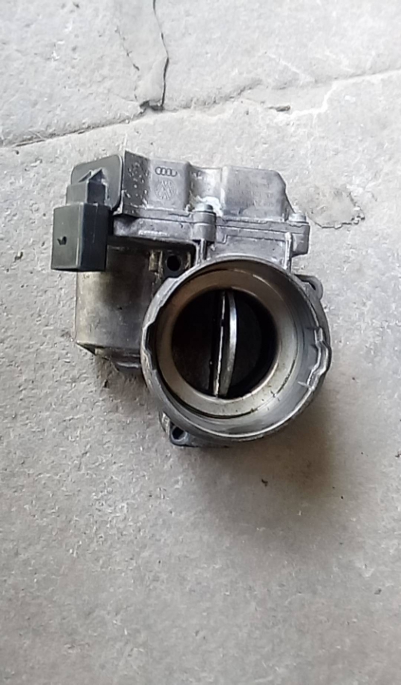 Corpo de Borboletas (20216570).