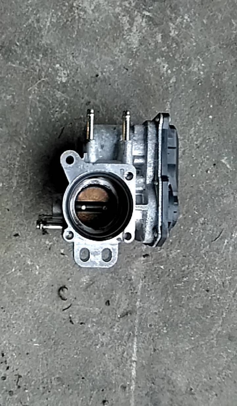 Corpo de Borboletas (20216758).