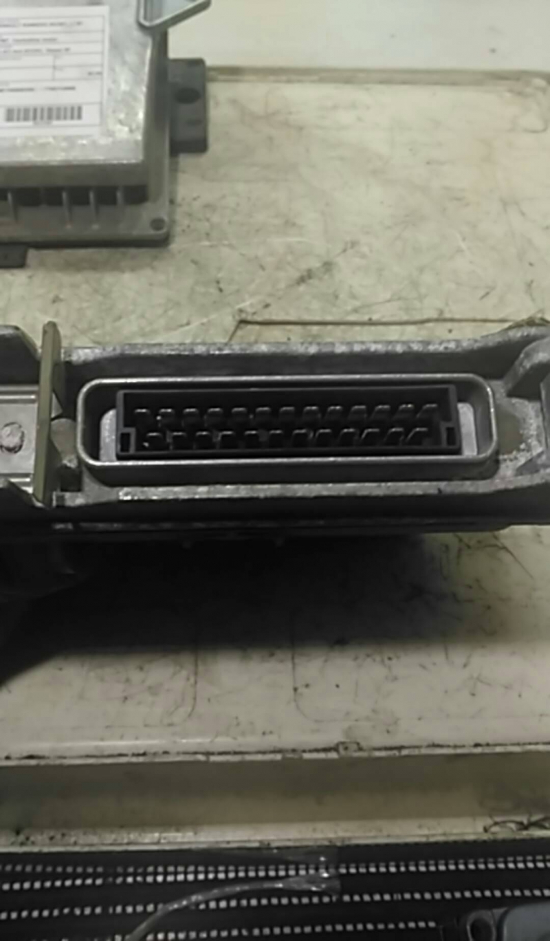 Centralina motor (20217998).