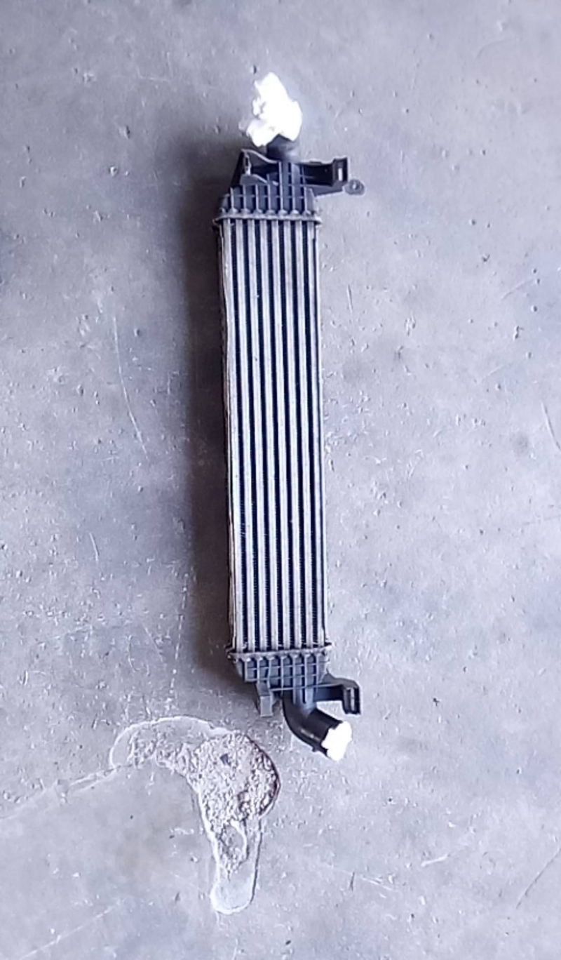 Intercooler (20218332).