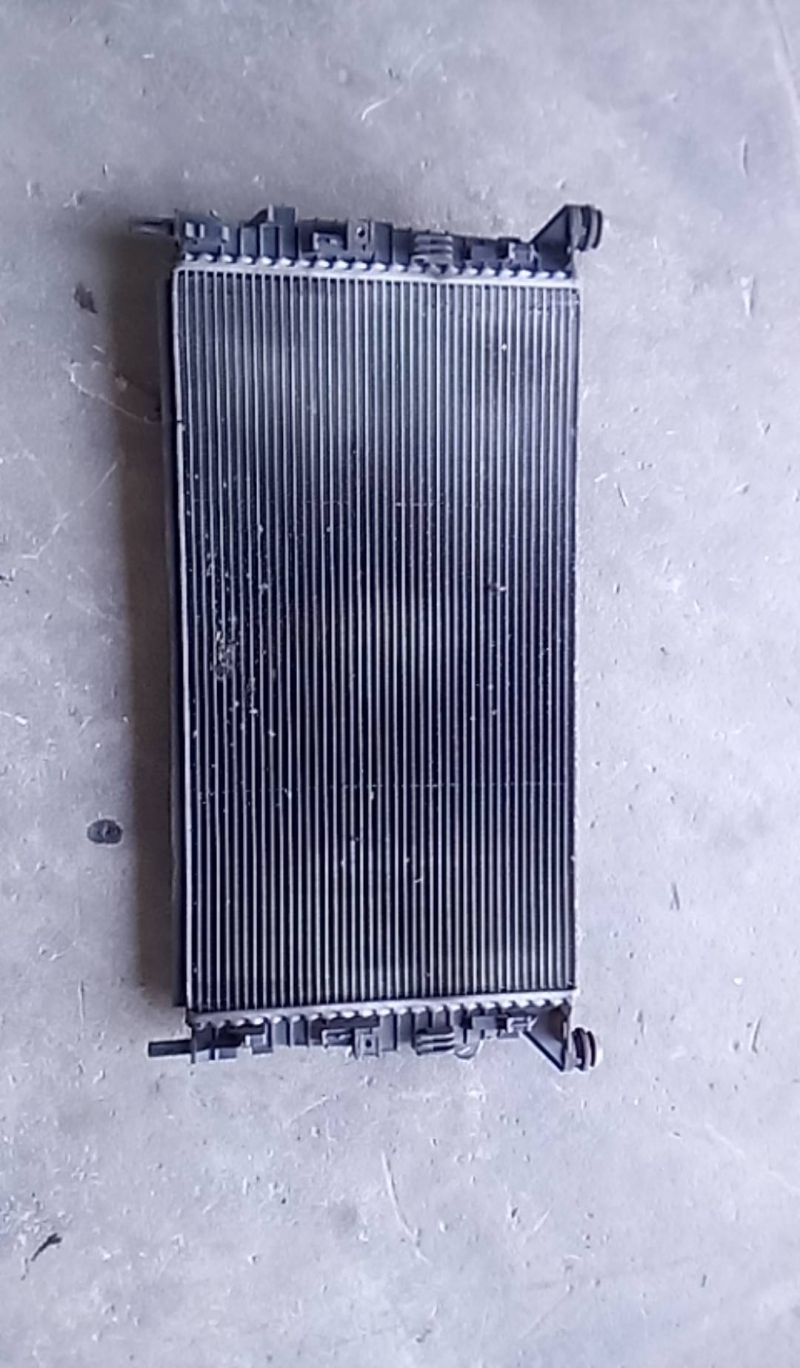 Radiador agua (20218388).