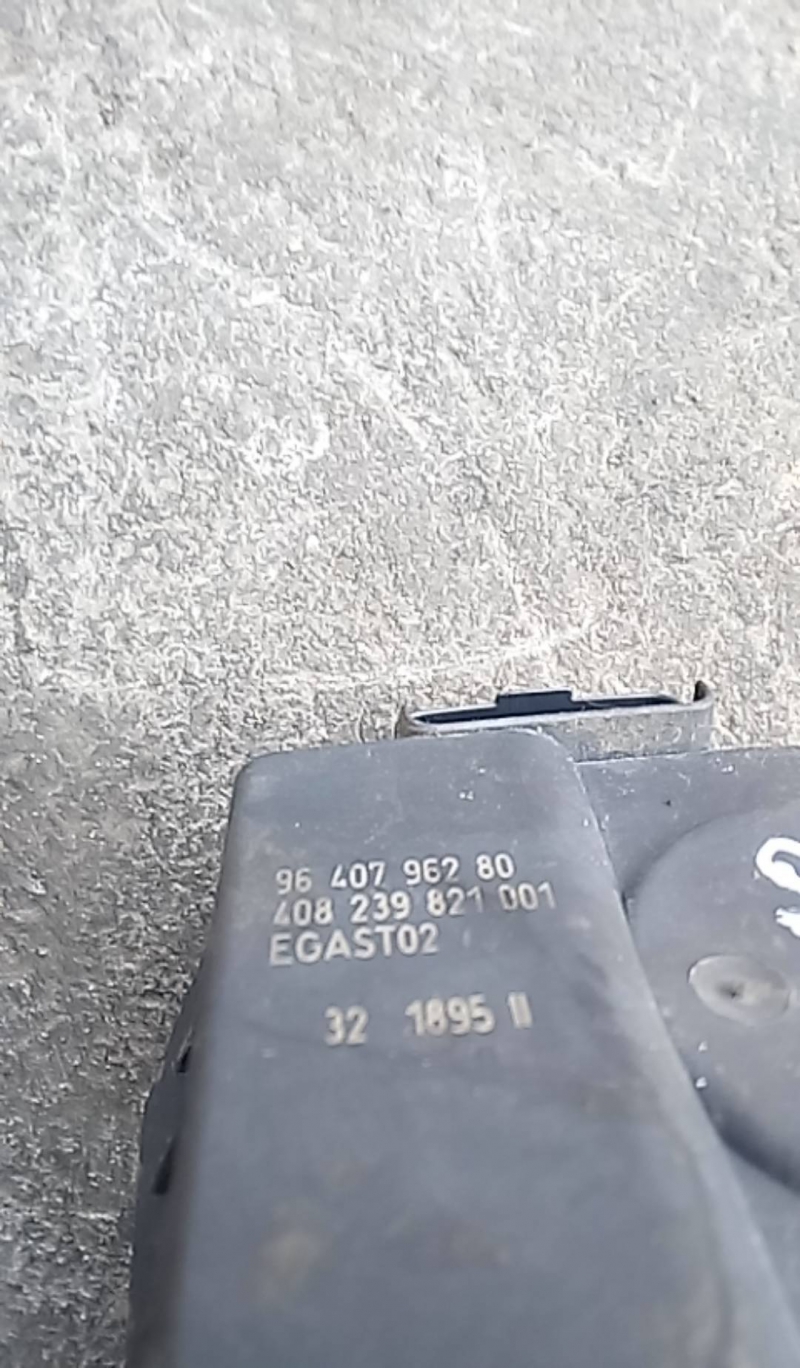 Corpo de Borboletas (20218694).