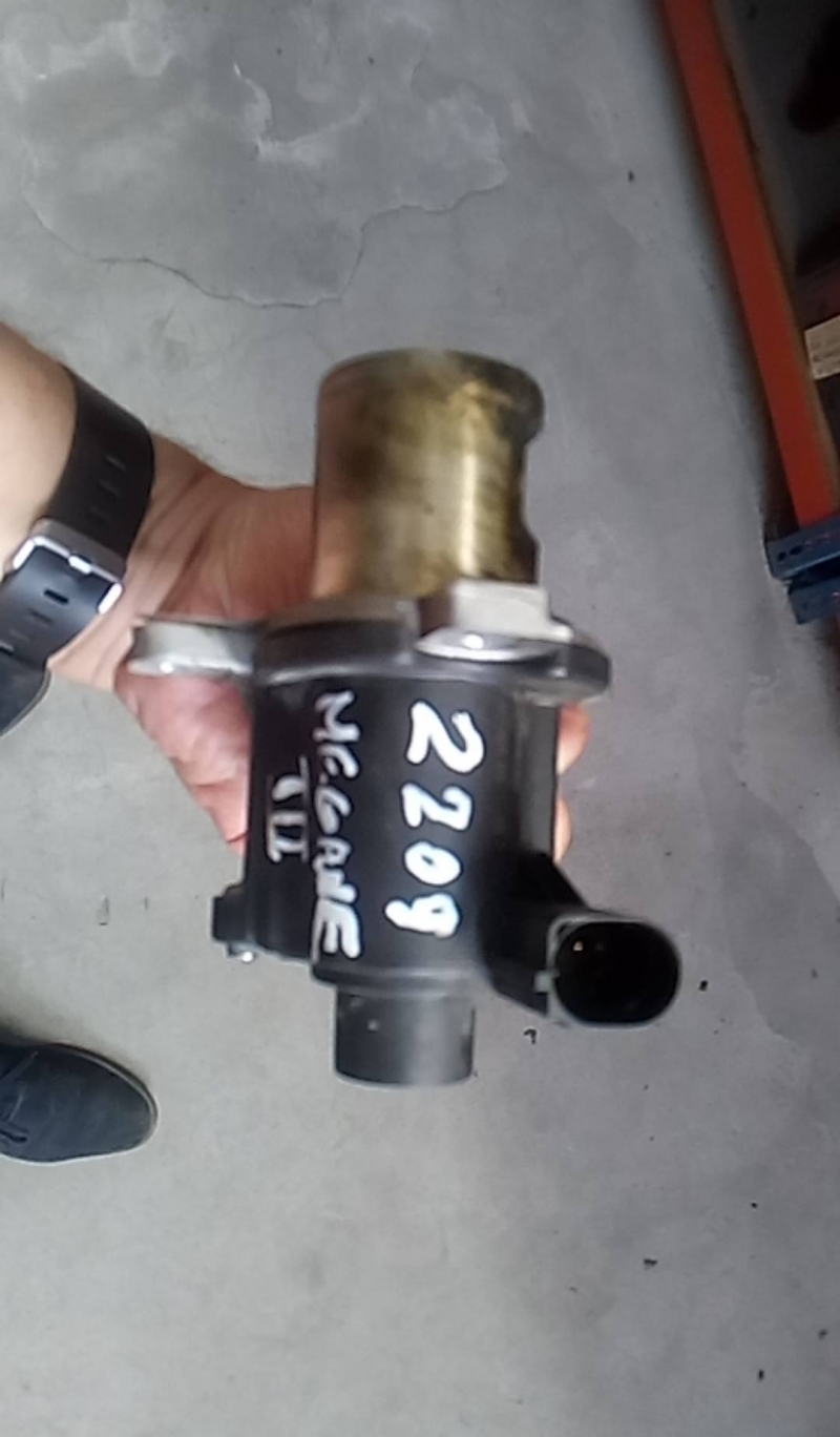 Valvula EGR (20218961).