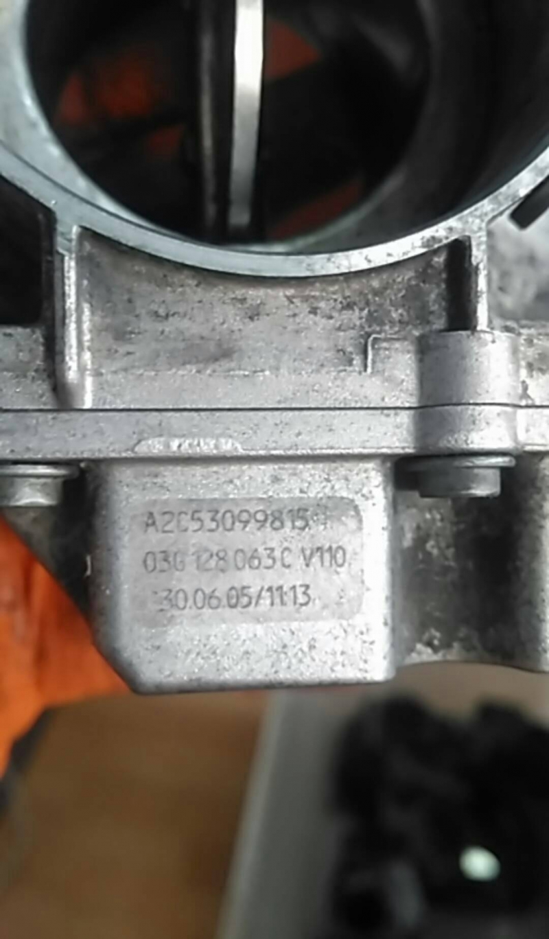 Corpo de Borboletas (20219821).