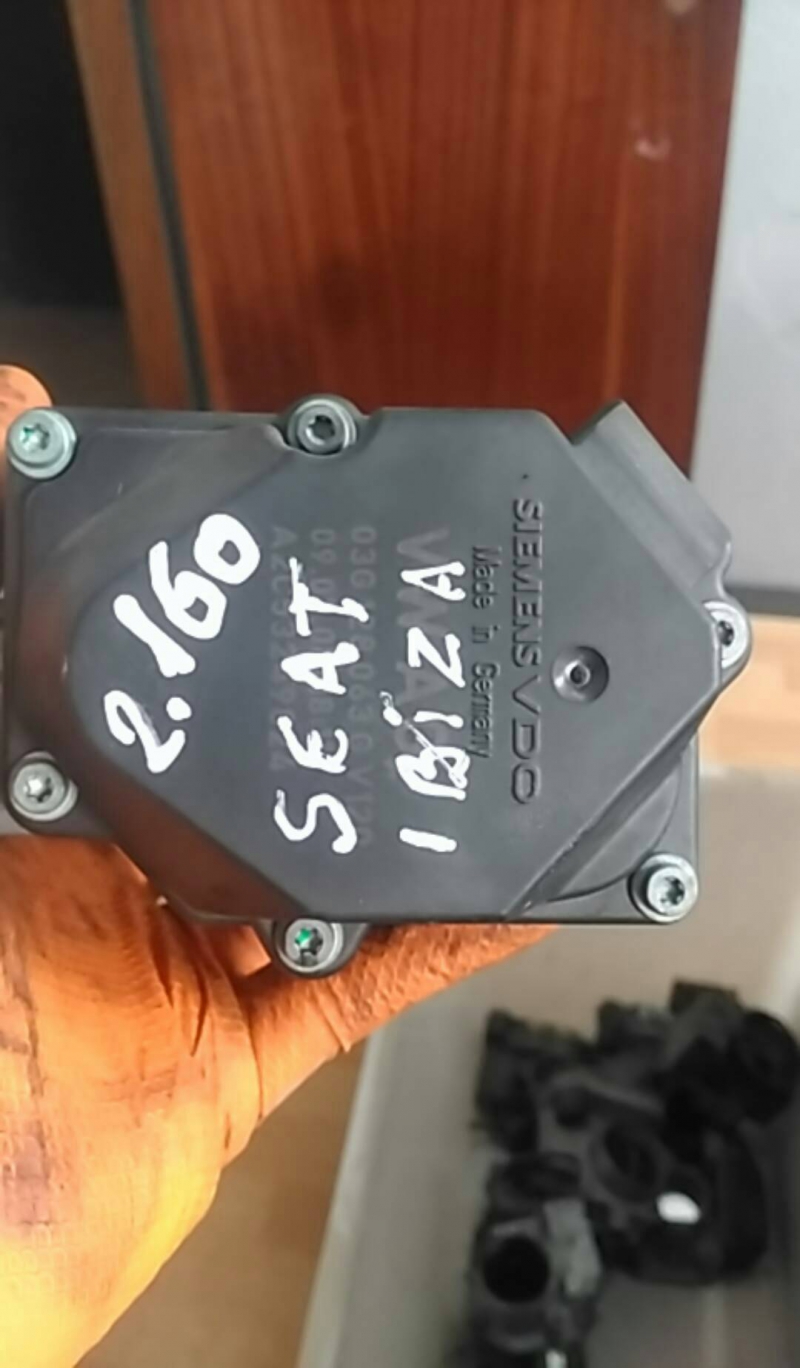 Corpo de Borboletas (20219822).