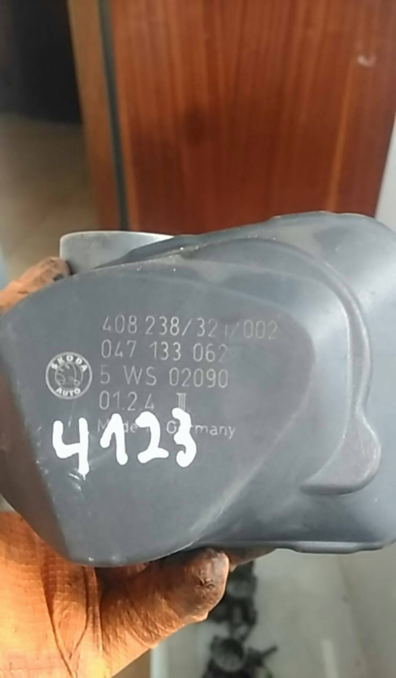 Corpo de Borboletas (20219828).