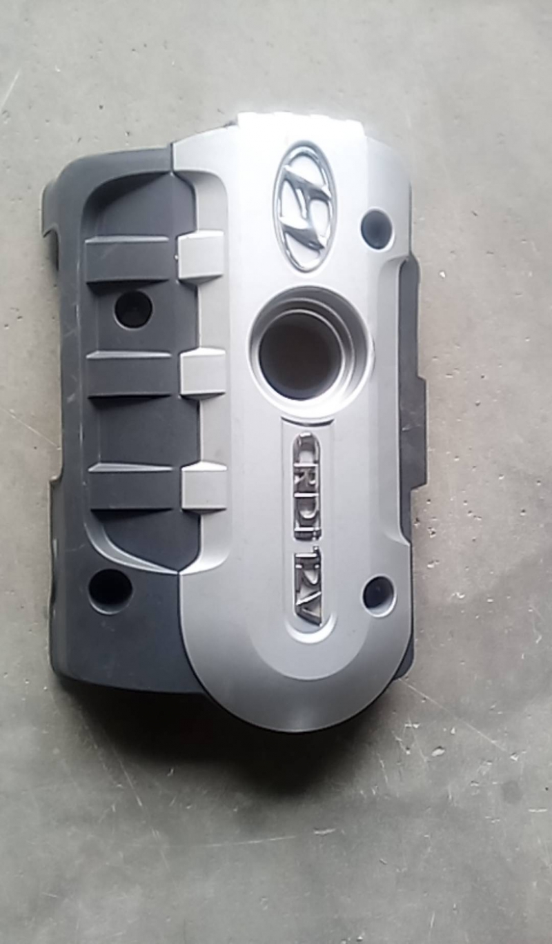 Cobertura motor (20219852).