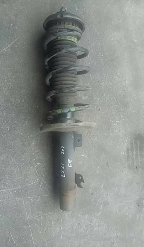 Amortecedor fte esq (20221211).