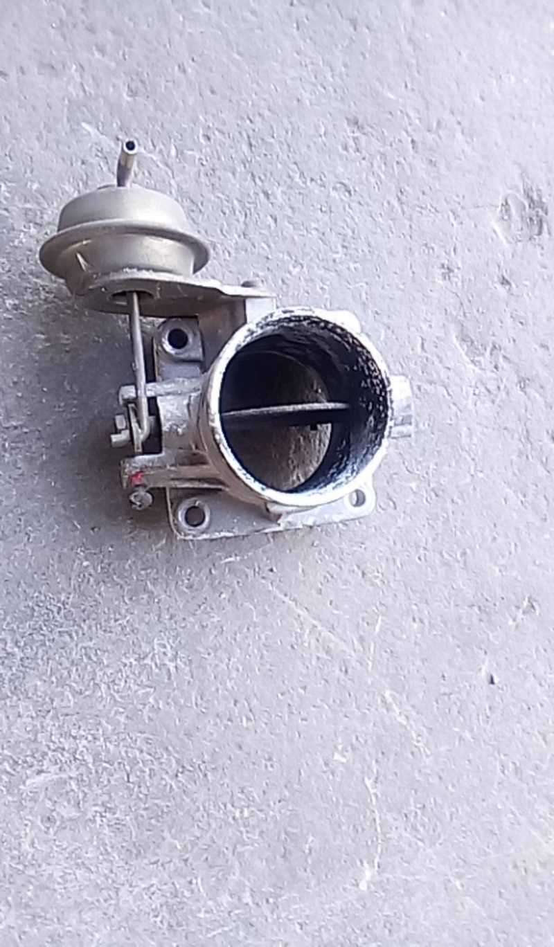 Corpo de Borboletas (20221515).