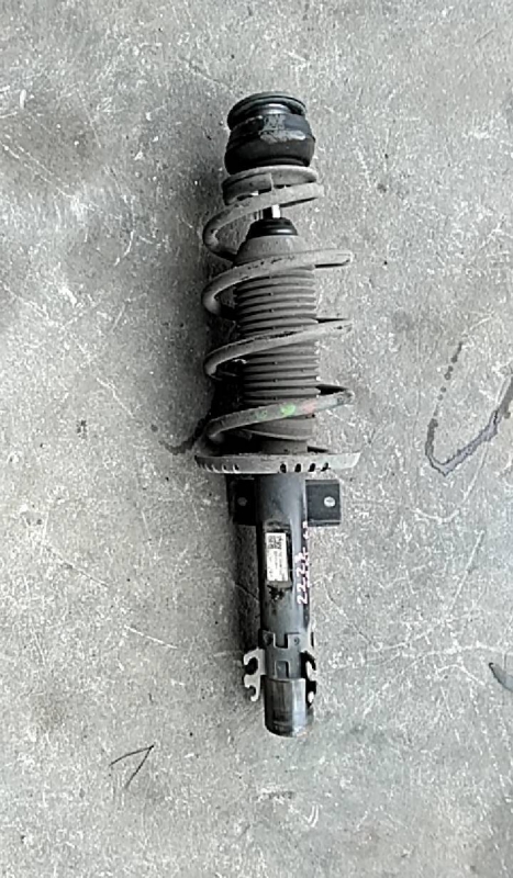 Amortecedor fte esq (20222756).