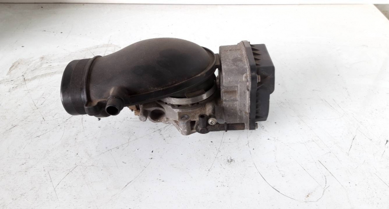 Corpo de Borboletas (20224257).