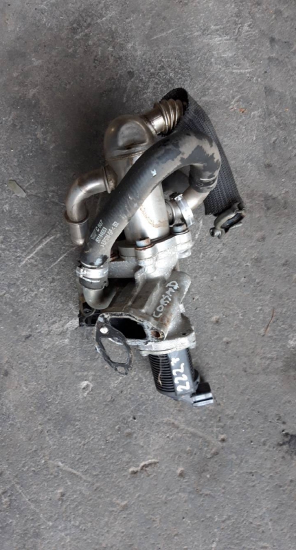 Valvula EGR (20224395).