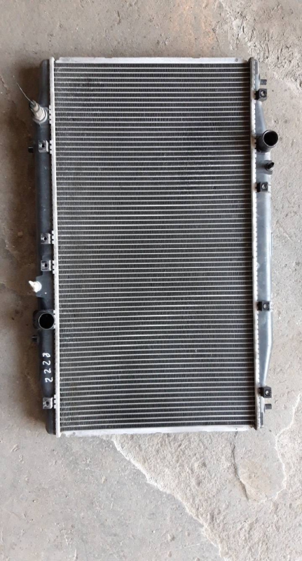 Radiador agua (20224475).