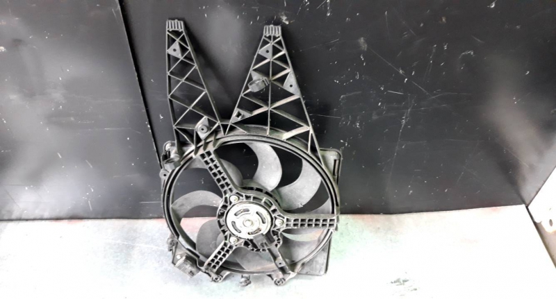 Termoventilador (20225850).