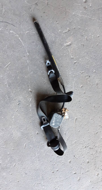 Cinto fte dto pre tensor (20226165).