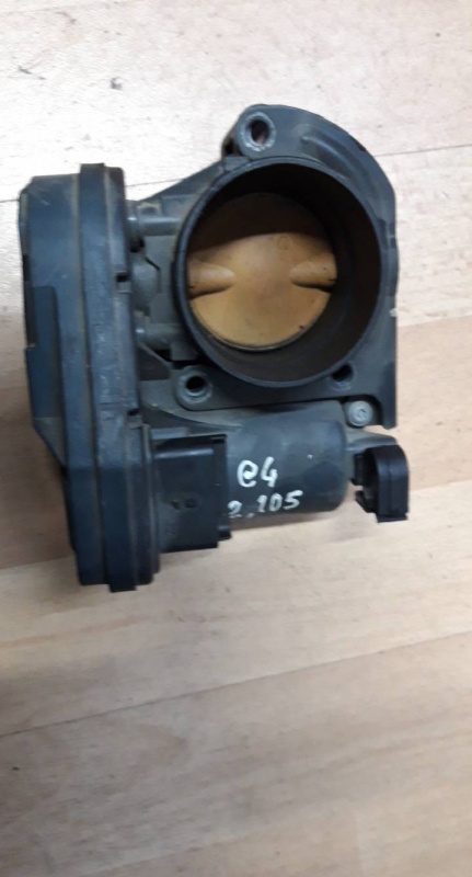 Corpo de Borboletas (20226579).