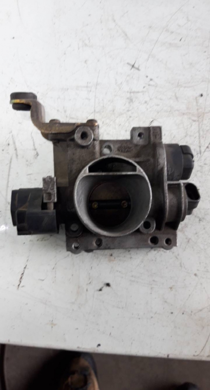 Corpo de Borboletas (20226844).