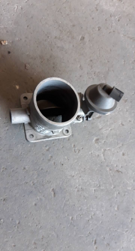 Corpo de Borboletas (20226896).