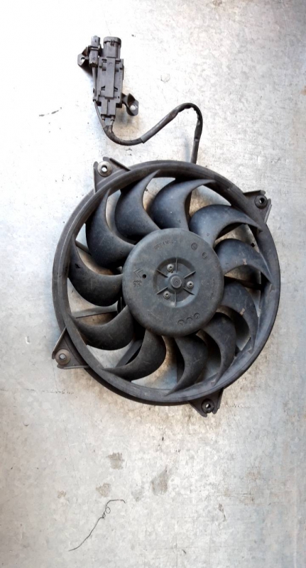 Termoventilador (20229503).