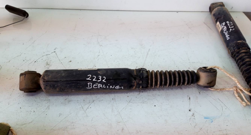 Amortecedor tras dto (20230717).