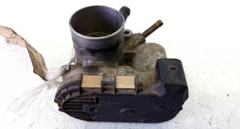 Corpo de Borboletas (20230982).