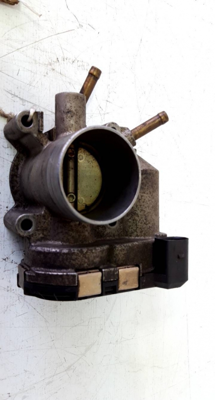 Corpo de Borboletas (20230983).