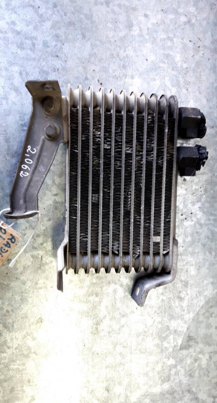 Radiador oleo (20231080).