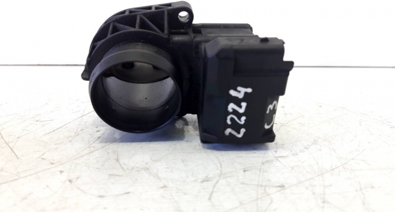 Corpo de Borboletas (20231089).