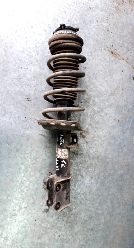 Amortecedor fte esq (20232807).