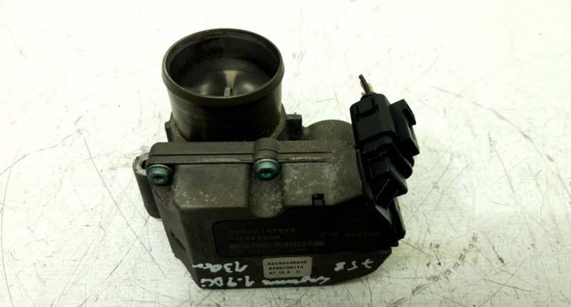 Corpo de Borboletas (20233504).