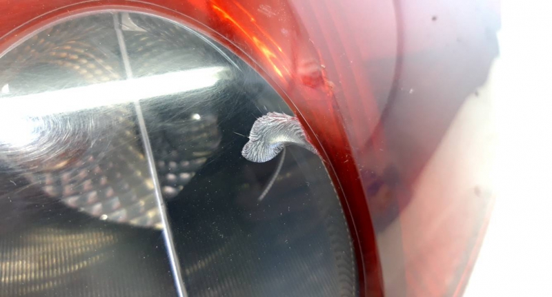 Farolim tras esquerdo painel stop (20234273).