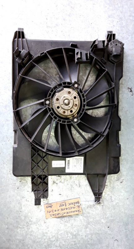 Termoventilador (20234844).