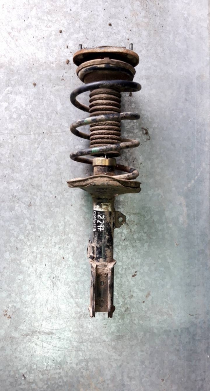 Amortecedor fte esq (20234884).