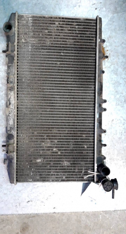 Radiador agua (20235047).